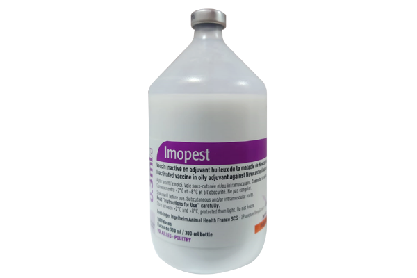 Imopest