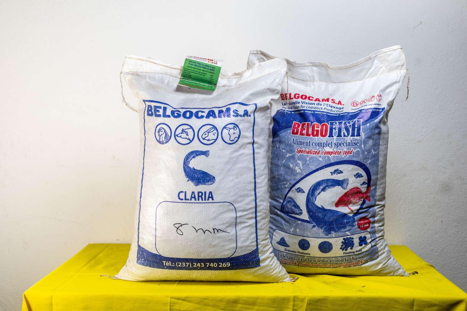 BELGO FISH TILAPIA PARVO 2g 5kg